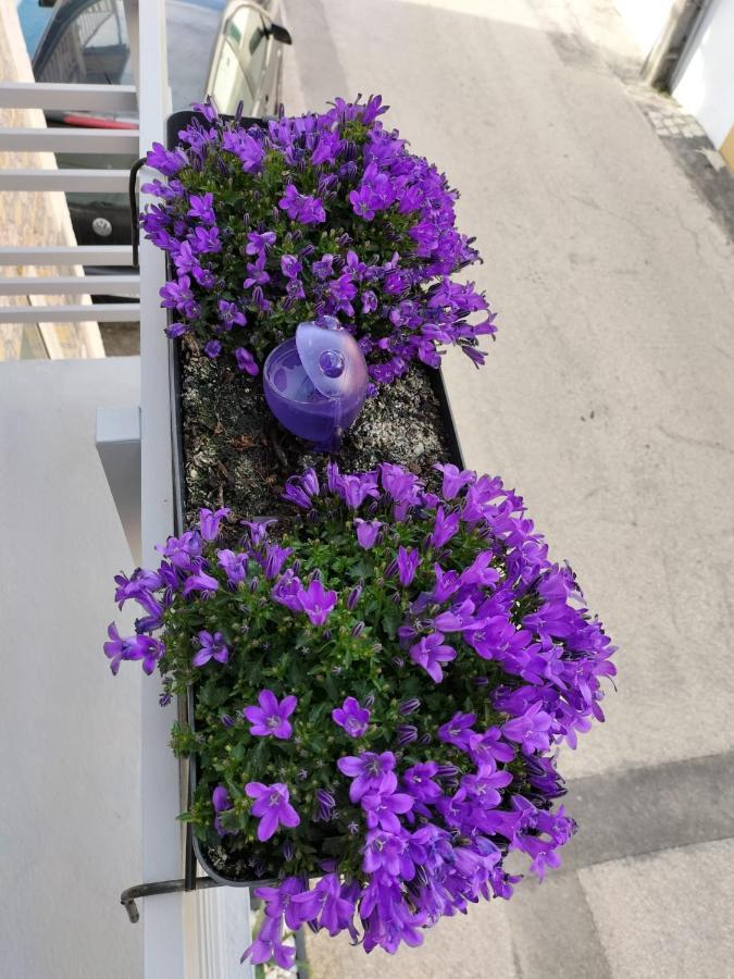 The Violet House Villa Коста Нова Екстериор снимка