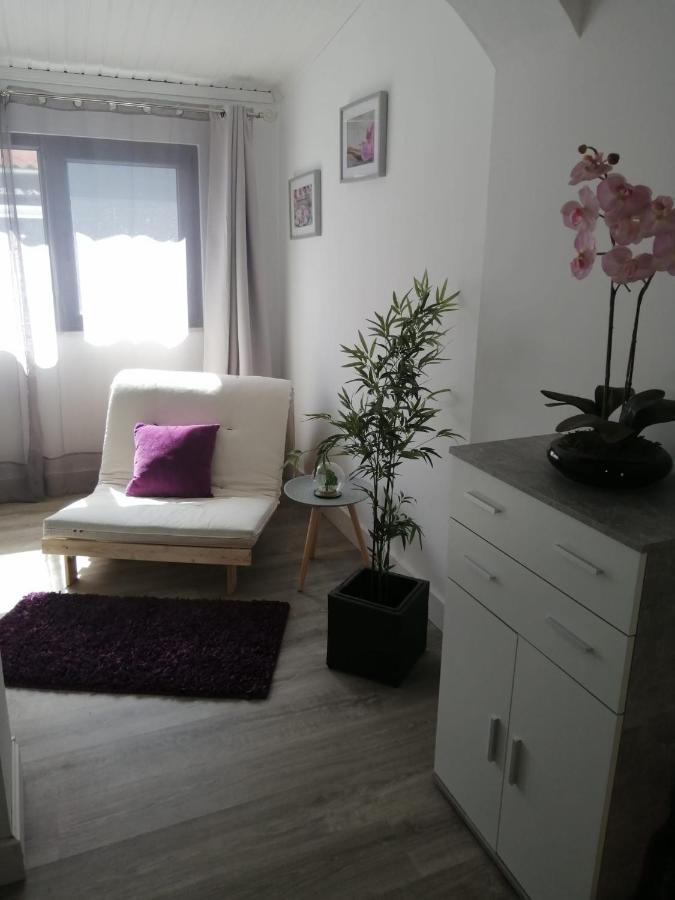 The Violet House Villa Коста Нова Екстериор снимка